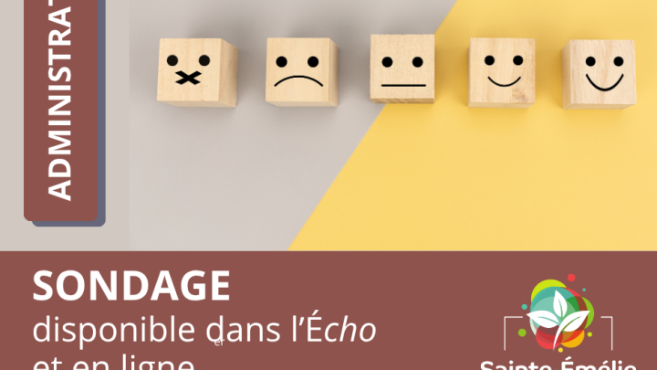 Sondage pour préparer le Sommet émélinois