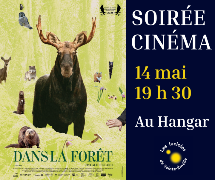Soirée CINÉMA à 19 h 30