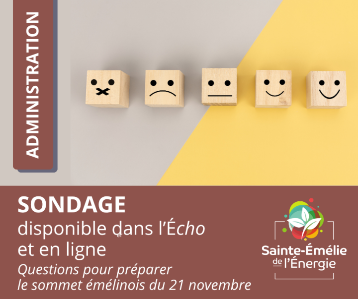 Sondage pour préparer le Sommet émélinois