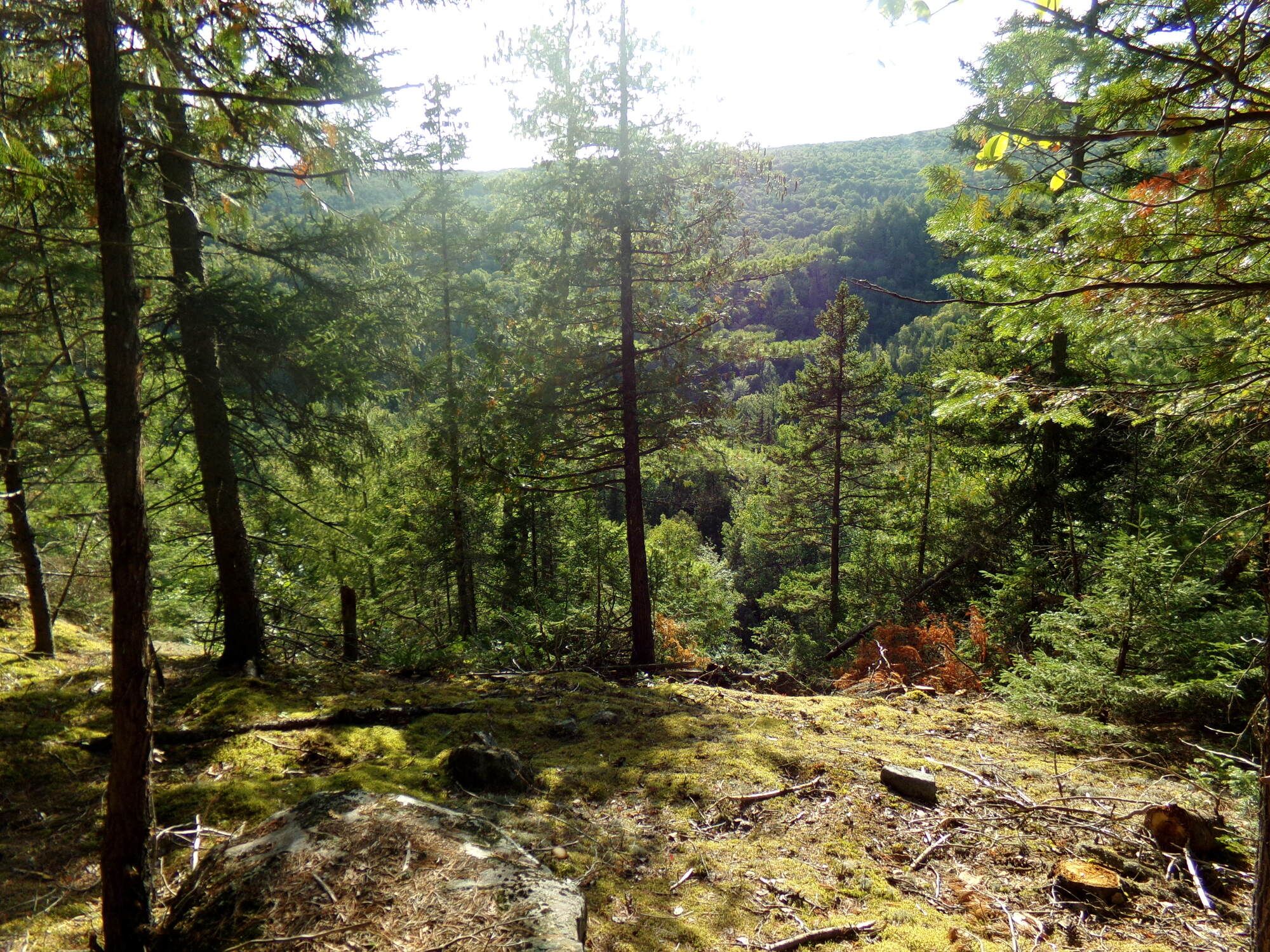 point.vue slye
