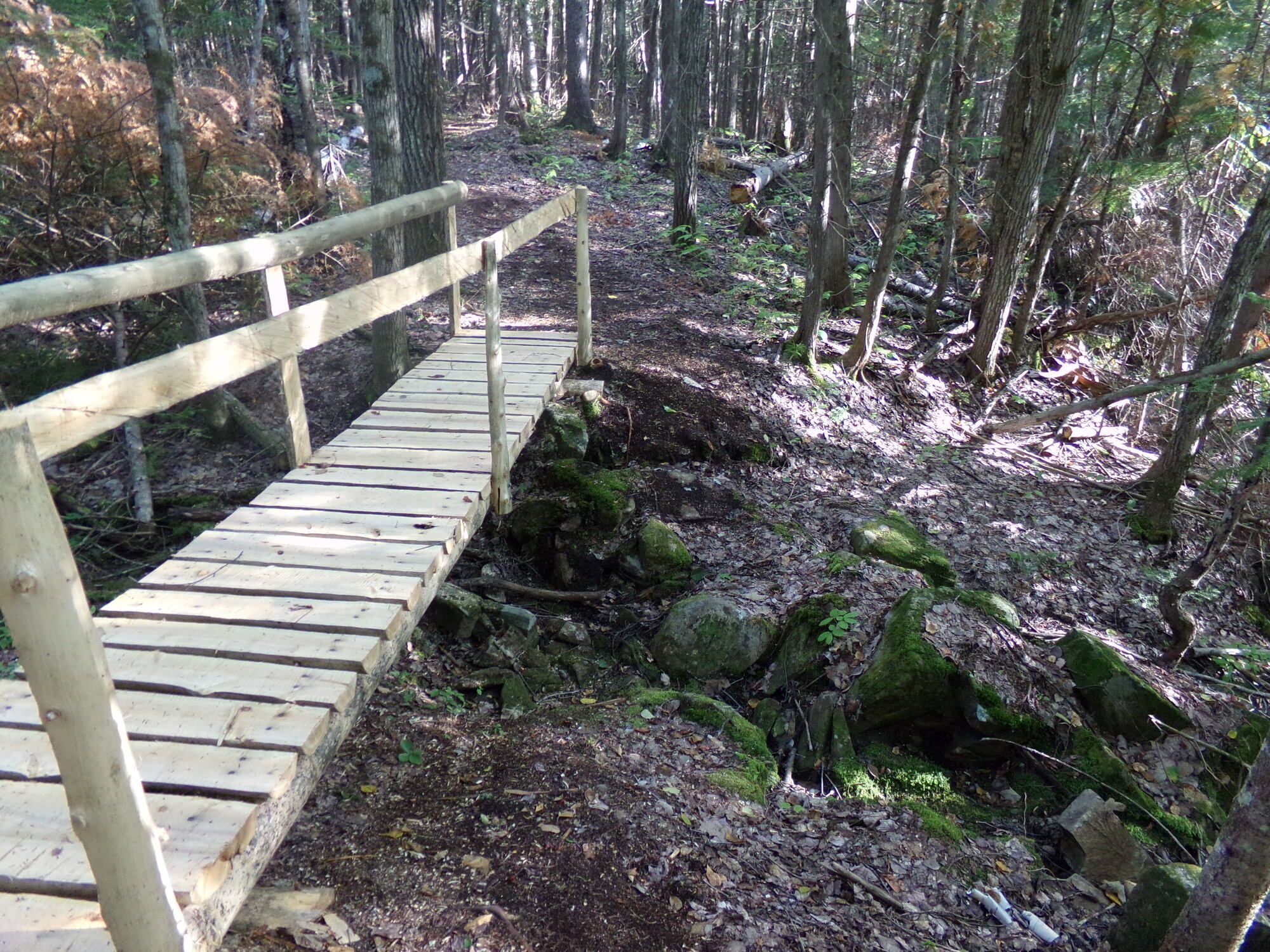 slye.pont